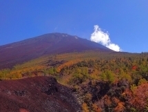 御庭奥庭から見た富士山 お庭.jpg