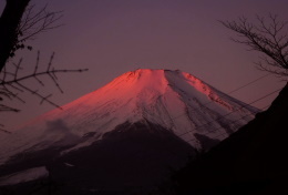 イゾラーナから見た富士山 元旦の紅富士.jpg