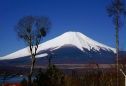 イゾラーナから今日の富士山 今日の富士山