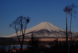 イゾラーナから見た富士山 富士山.jpg