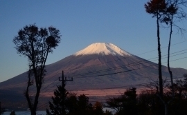 イゾラーナから今朝の富士山 富士山.jpg