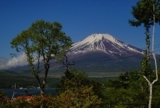 イゾラーナから見た富士山 富士山.jpg