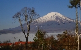 イゾラーナから見た富士山 富士山.jpg