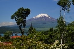 イゾラーナから見た富士山 富士山.jpg