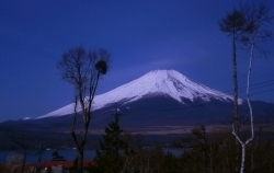 イゾラーナから見た富士山 富士山.jpg