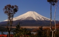 イゾラーナから今朝の富士山 富士山.jpg