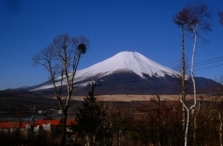 イゾラーナから見た今日の富士山 富士山.jpg