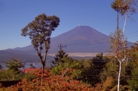 イゾラーナから見た富士山 富士山.jpg