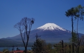 イゾラーナから見た富士山 富士山.jpg
