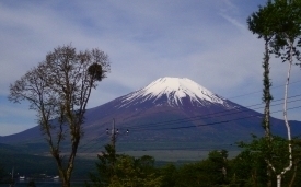 イゾラーナから見た今日の富士山 富士山.jpg