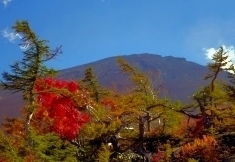 御庭奥庭の紅葉 御庭紅葉ds3.jpg