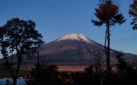 イゾラーナの庭の楓の葉 朝の富士山.jpg